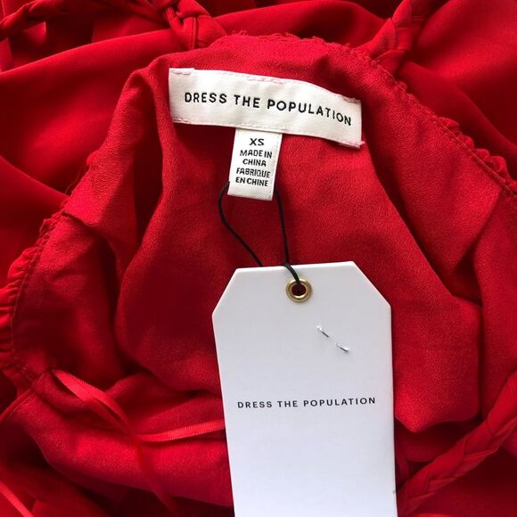 NWT DRESS THE POPULATION Asa Halter Neck Maxi Sun Dress XS - Picture 10 of 11